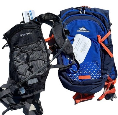 Lot Of 2 High Sierra And Vibrelli Water Backpacks