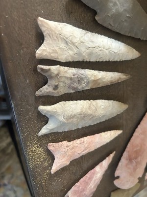 Authentic Native American Daltons