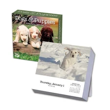 Turner Licensing,  Dogs And Puppies 2026 Desk Calendar, 5.5'' X 5.5'', 12-Month