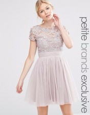 Little Mistress Petite Short Sleeve Lace Bodice Mini Dress With Tulle Skirt