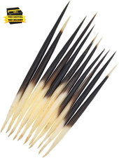 10Pcs Porcupine Quills Hair Stick Indian Crafts Accessories Fishing Buoy DIY Sew