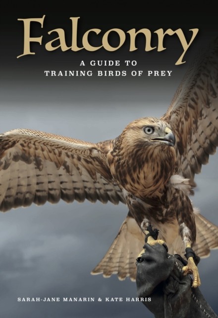 Falconry by Sarah-Jane Manarin HARDBACK - Image 5