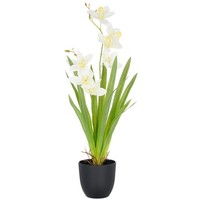 Kunstpflanze Cymbidium, Farbe Weiß, Inkl. Kunststoff-Topf, HöHe Ca. 55 Cm