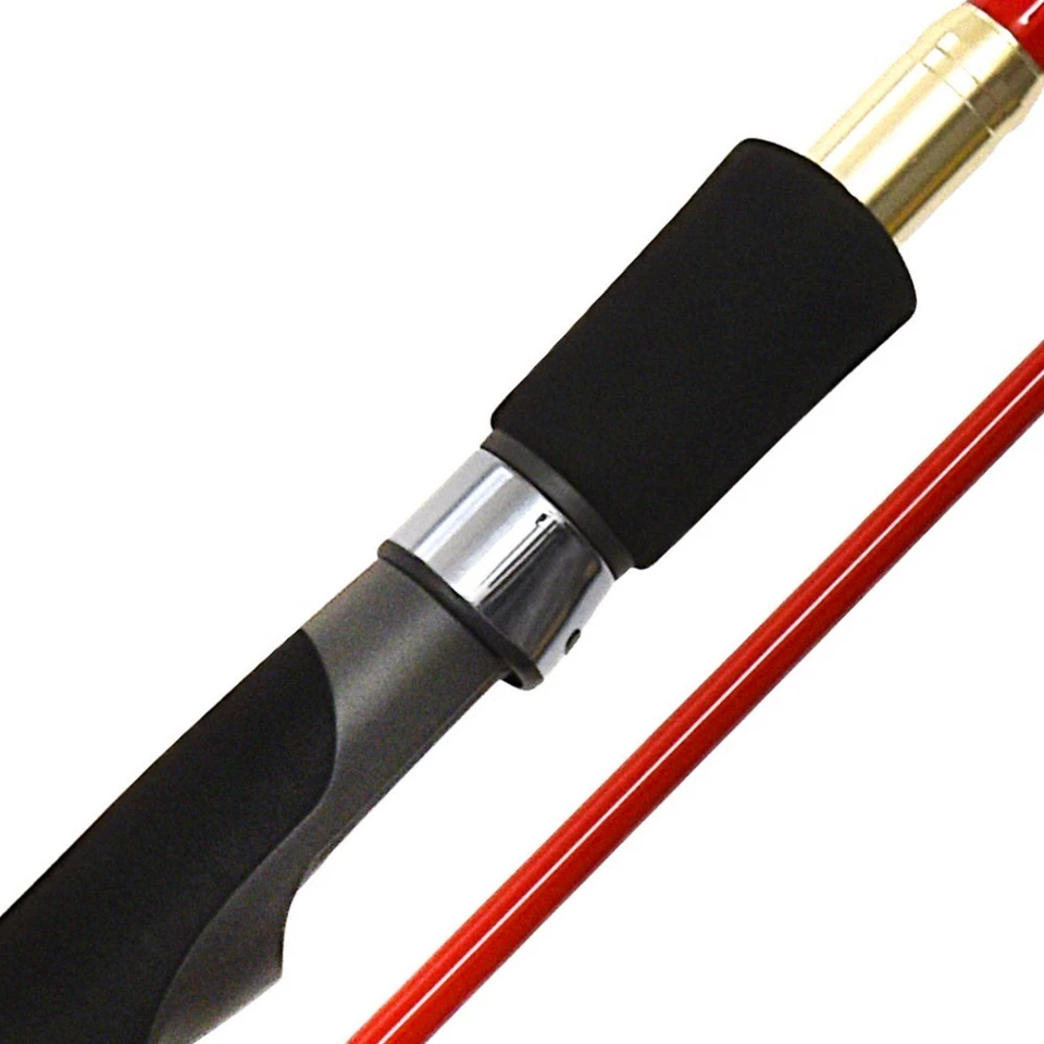 Tenryu Dragon Express - Photo 3/4