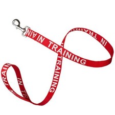 Reflective "IN TRAINING" Leash W 1" x L 24" - Red