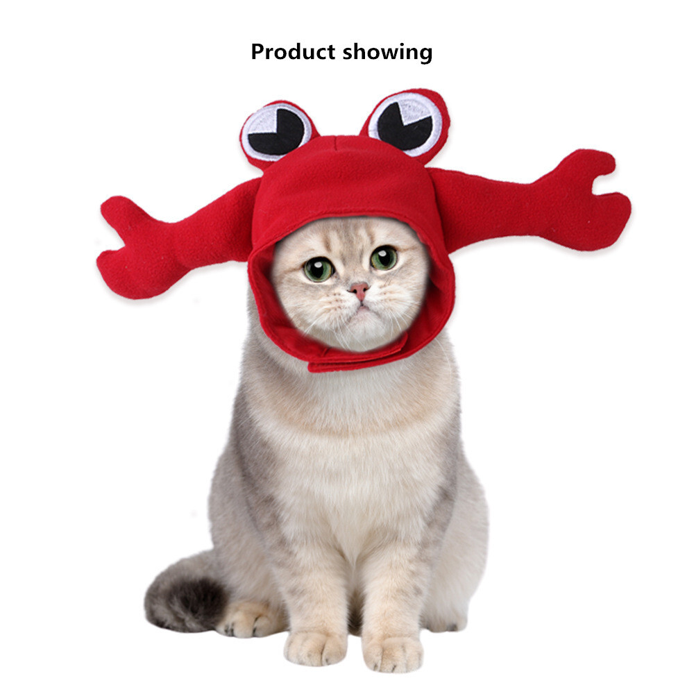 Lobster Dog Hat