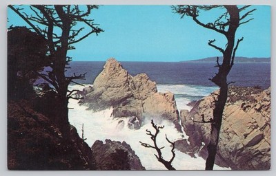 Carmel California Pinnacle Point Lobos State Park Pacific Ocean Vintage Postcard