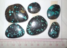 Turquoise Stone Flat Free Form Cabochon 186 Carat 6 pieces 37.2 gram