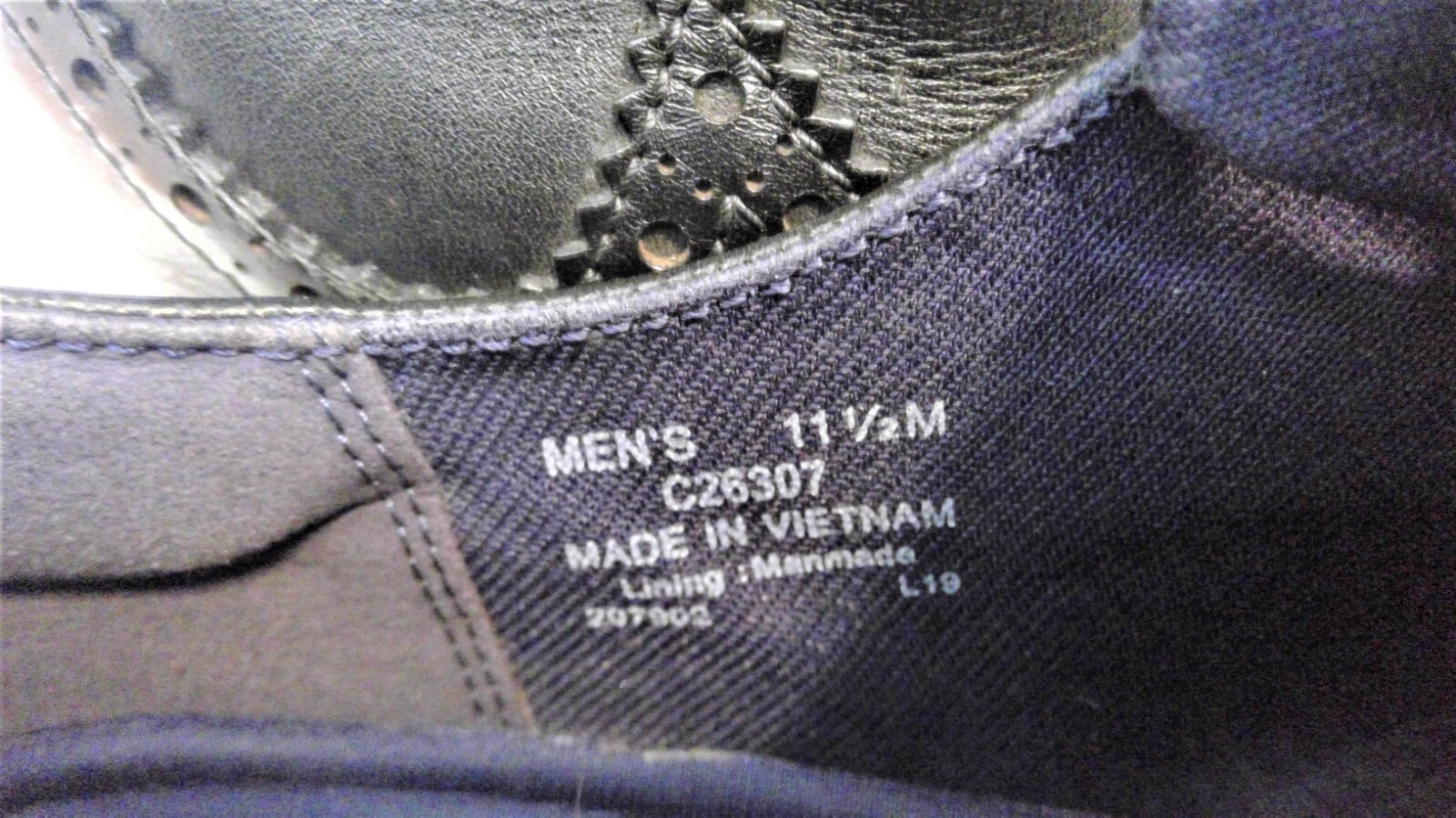 grand evolution shortwing