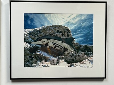  Bleached Blue  (The Blue Muse) Signed By David Walters 1997 Framed Art 21 x 17 