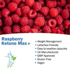 RASPBERRY KETONE MAX 90 CAPSULES PLUS WEIGHT LOSS DIETING TIPS TABLETS ...