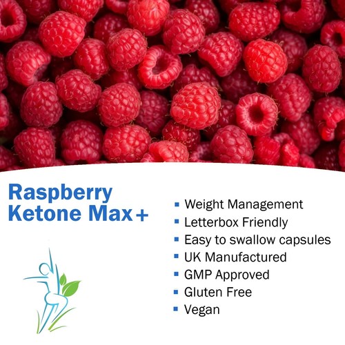 RASPBERRY KETONE MAX 90 CAPSULES PLUS WEIGHT LOSS DIETING TIPS TABLETS ...