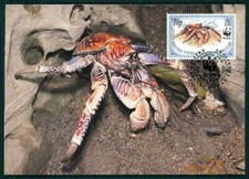 BRIT. INDIES MK WWF FAUNA KRABBEN CRABS MAXIMUMKARTE MAXIMUM CARD MC CM gt63