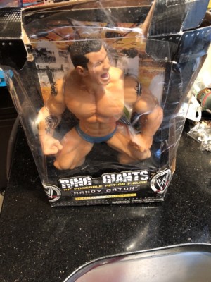 WWE Ring Giants Randy Orton 14