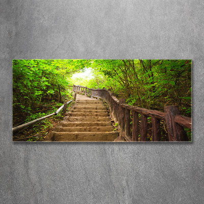 Glas-Bild Wandbilder Druck auf Glas 120x60 Deko Landschaften Treppen im Wald