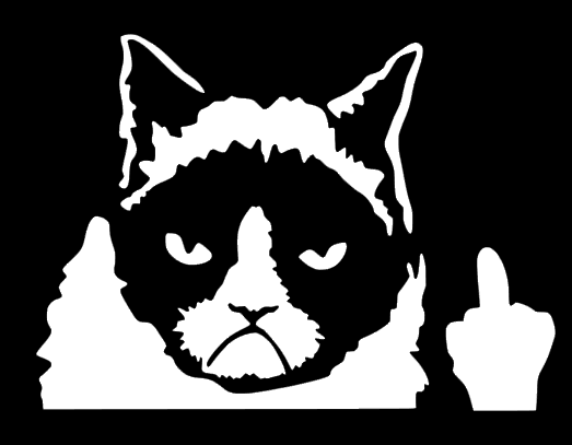 Grumpy Cat Middle Finger Decal, JDM Funny Decal for Car