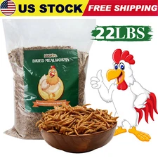 22LBS Bulk Dried Mealworms Non-GMO Organic for Wild Blue Bird Food Chickens Hen