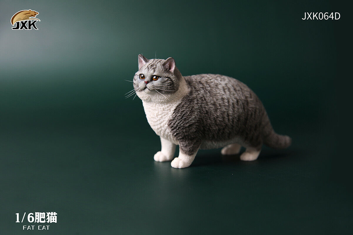 JXK 1/6th Fat Cat Figure Cute Pet Animal Model Collector Decor