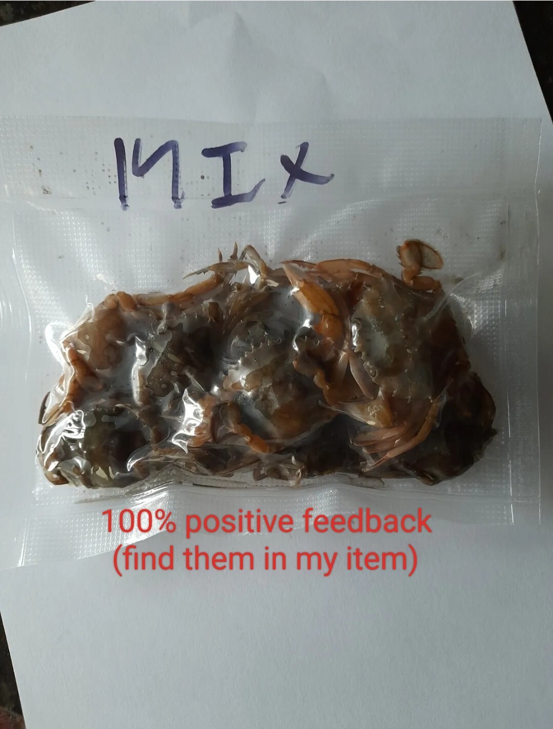 CRABS,MIXED SIZE CRABS, LARGE PEELERS, FOR SEA FISHING BAIT LOOK UP IN