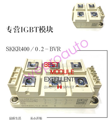 1PCS SKKR400/0.2-BVR SEMIKRON power supply module NEW 100% Quality Assurance