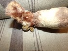 Bild 7 von 10