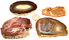 4 Fabulous Agates & Jasper Total 9.8 Ounces 1st 4 Pictures Wet #3438