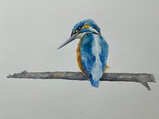 WATERCOLOUR PAINTING: ORIGINAL SIGNED BIRD/WILDLIFE PAINTING: KINGFISHER