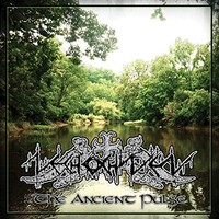Nechochwen - Ancient Pulse - Cd - G3Z