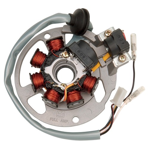 Atv 3089612 Magneto Generator Bobina Statore Motore Per Polaris Predator 500 200 - Foto 12