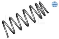 2X Meyle 100 639 0029 Fahrwerksfeder FüR VW