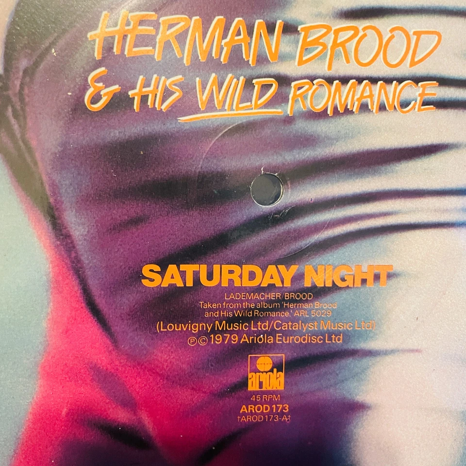 HERMAN BROOD And WILD ROMANCE-Saturday Night/Phony/Pop--Import  12" Picture Disc - Image 3 of 3