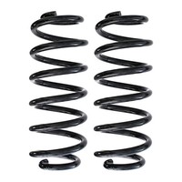 Fahrwerksfedern-Set Hinten Schraubenfeder Ø94Mm Spidan FüR U.A. Smart Fortwo
