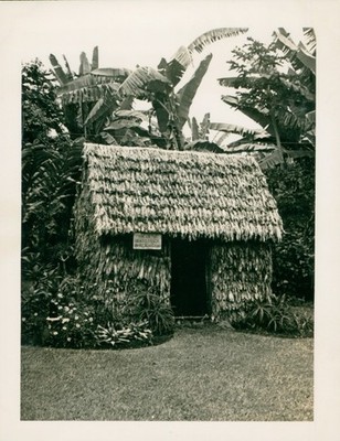 1940's WWII My Little Grass Shack in Kealakekua Sign & grass hut Hawaii Photo