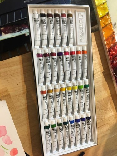 Juego de Pintura Acuarela Grado Artista Profesional SHINHAN 30 Colores Tubo 7,5 ml - Imagen 3 de 4