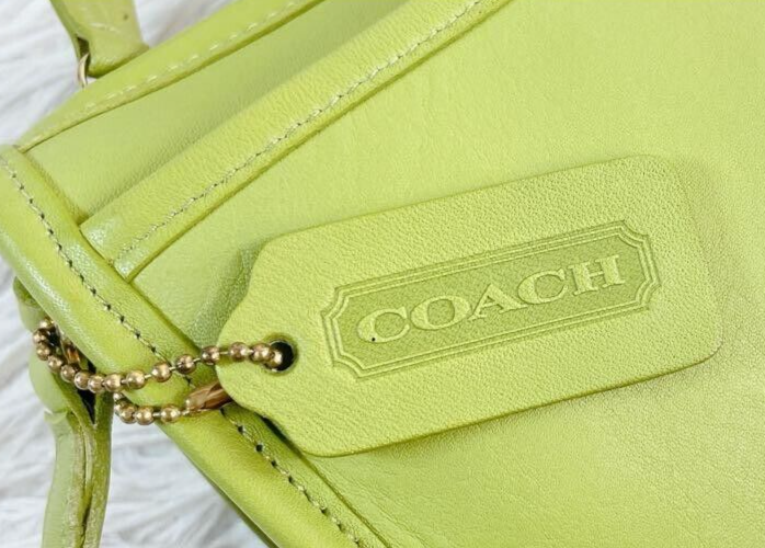 Extremely Rare Made In USA Old Coach 9031 Mini Shoulder Bag