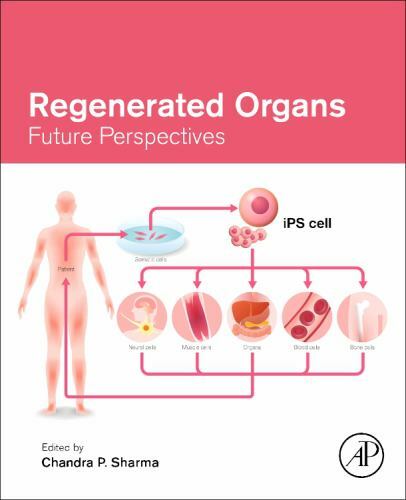 Regenerated Organs Future Perspectives Sharma Paperback Academic Press