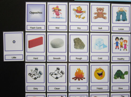 TARJETAS DE FOTOS OPUESTAS - Educación Autismo TDAH PECS Demencia SEN Ayudas visuales - Imagen 30 de 43