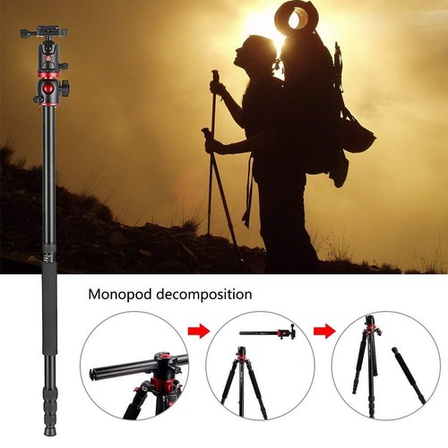 ZOMEI M8 Concept Heavy Duty Tripod Monopod Ball Head Travel For DSLR Camera DV - Picture 9 of 11