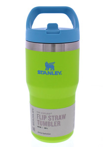 Stanley 20 Oz Tumbler with Handle | eBay