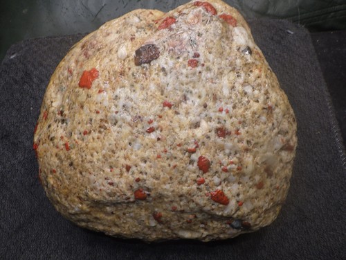 Michigan Pudding Stone 11 Pounds - Picture 2 of 6