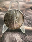 1991 American Silver Eagle Dollar One Ounce Fine Silver. Dirty/ Tarnished