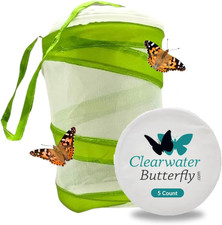 Clearwater Butterfly Live Painted Lady Butterflies - Butterfly Growing Kit with