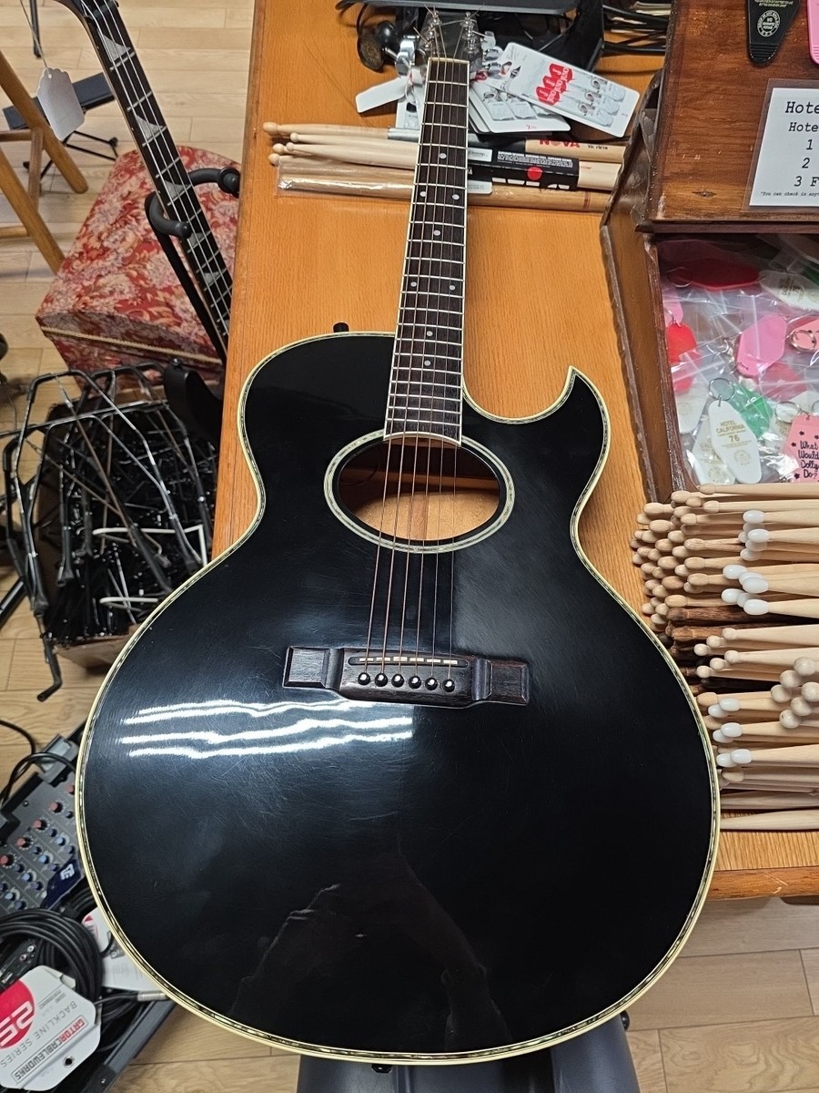 Washburn EA40 Woodstock Custom | eBay