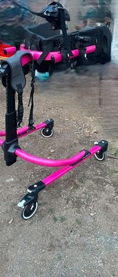 RIFTON PACER LARGE GAIT TRAINER  $600