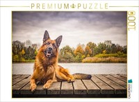 Calvendo Puzzle German Shepherd | 1000 Pieces, Finished Size 25.2 × 18.9 In (64