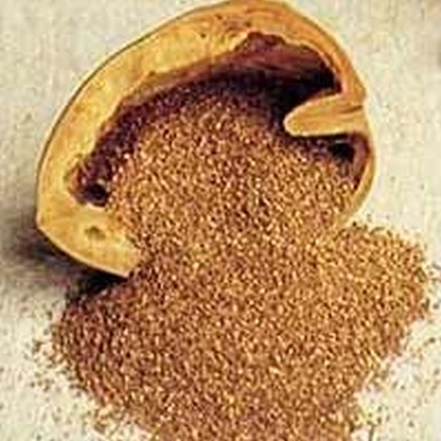walnut shell powder