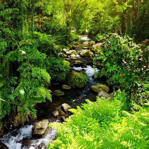 3D Waterproof Tapestry,Landscape Series Forest Sunlight Decoration 150x130cm #5 - Picture 7 of 10