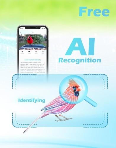 Vakiav Smart Bird Feeder with Camera, Smart Wild Bird Watching Cam with AI - Picture 3 of 12