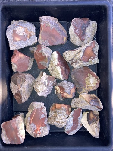 Bruneau Jasper Rough- 8lbs+ Some Patterns and Color Variation See Photos