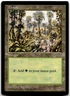 MTG Forest (Pink Flowers Right) L Mirage MP